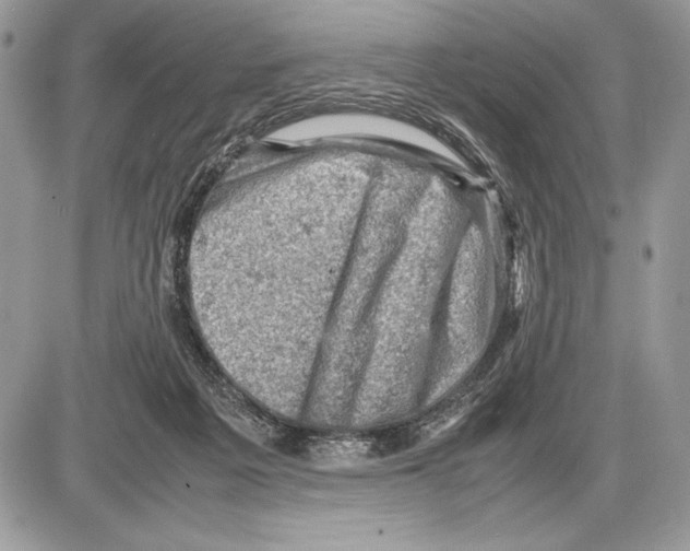 X0000085750217200704131720