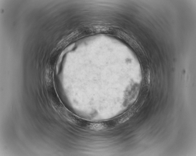 X0000085750218200704131720