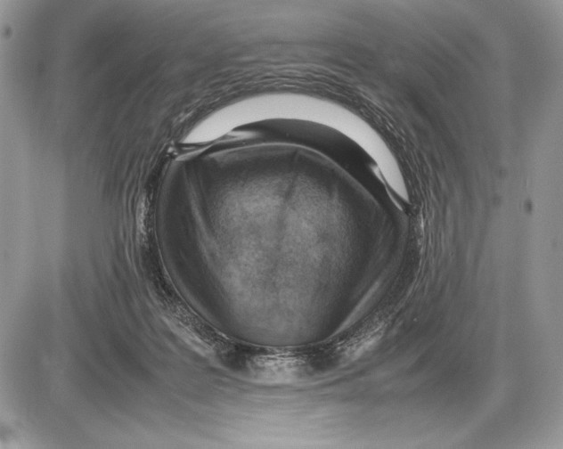 X0000085750219200704131720