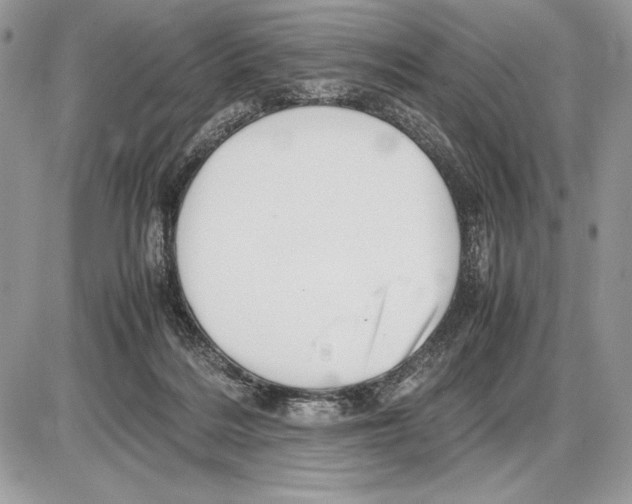 X0000085750220200704131720