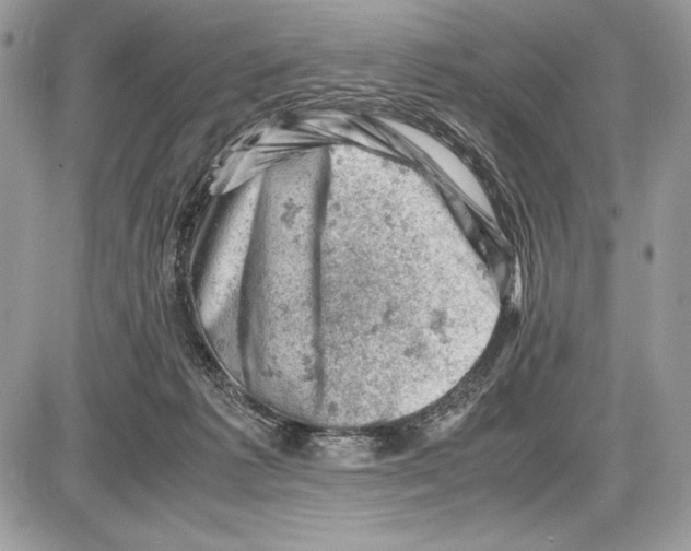 X0000085750221200704131720