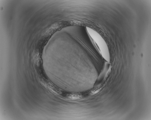 X0000085750223200704131720