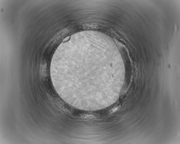 X0000085750224200704131720