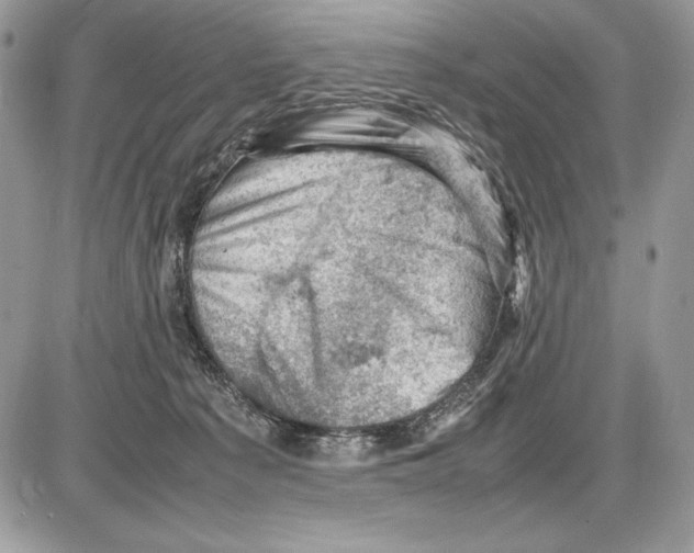 X0000085750225200704131720