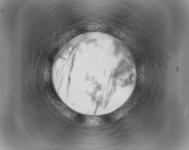 X0000085750226200704131720