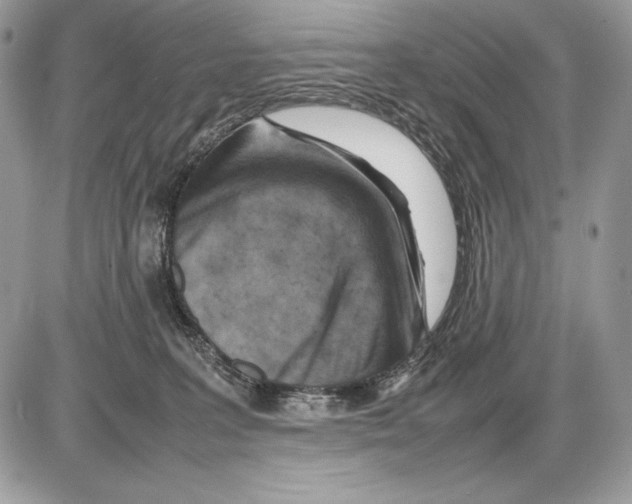 X0000085750227200704131720