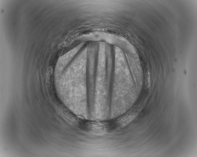 X0000085750229200704131720