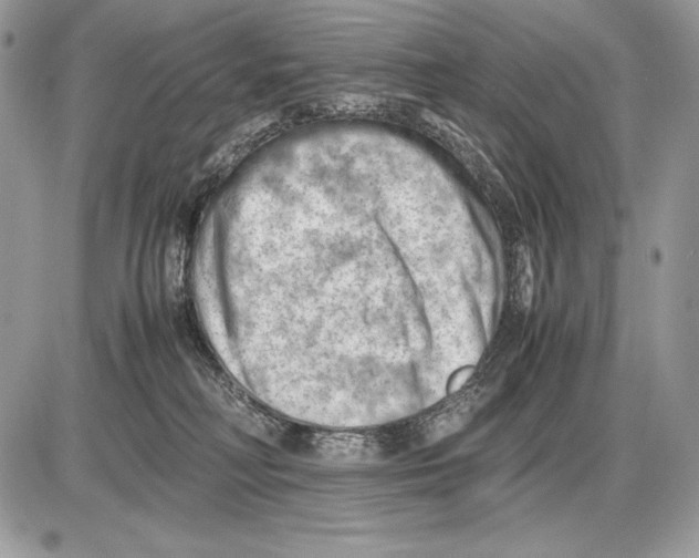 X0000085750230200704131720