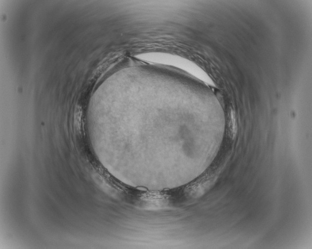 X0000085750231200704131720