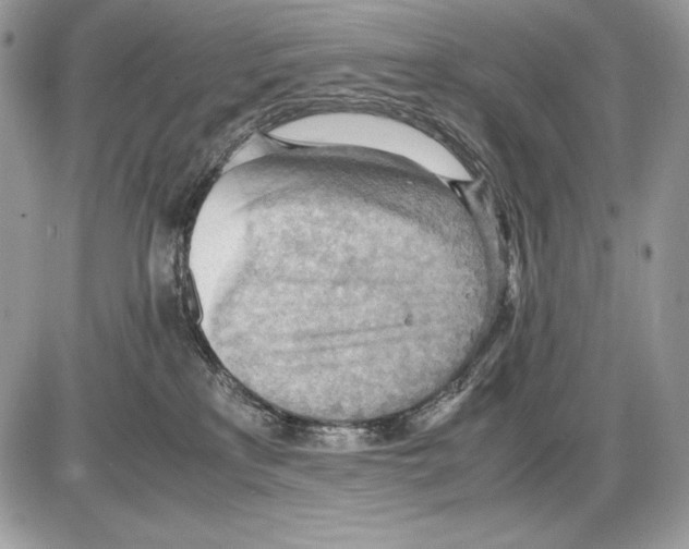 X0000085750233200704131720