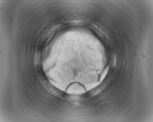 X0000085750236200704131720