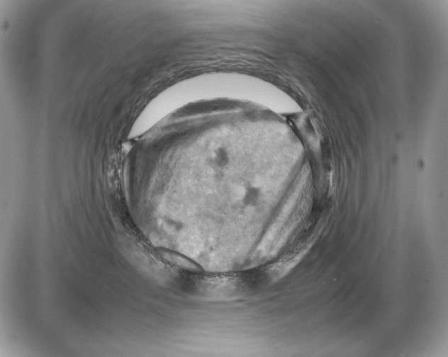 X0000085750237200704131720