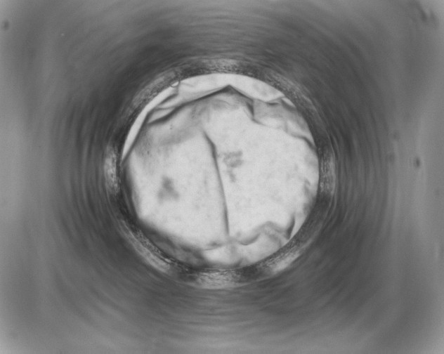 X0000085750238200704131720