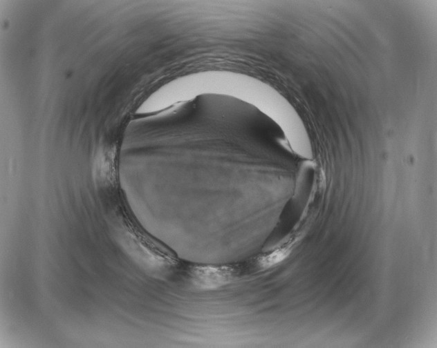 X0000085750239200704131719