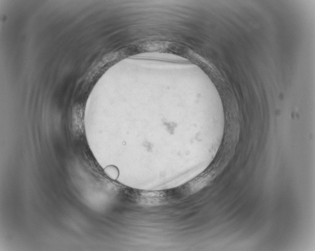 X0000085750240200704131719