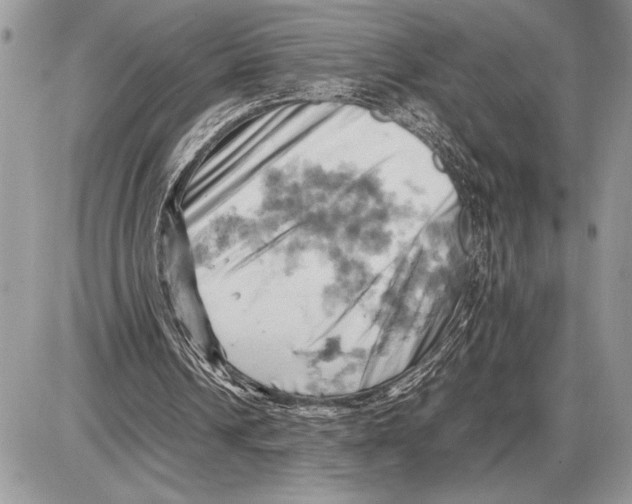 X0000085750242200704131719