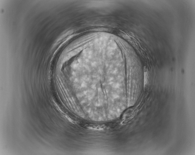 X0000085750243200704131719