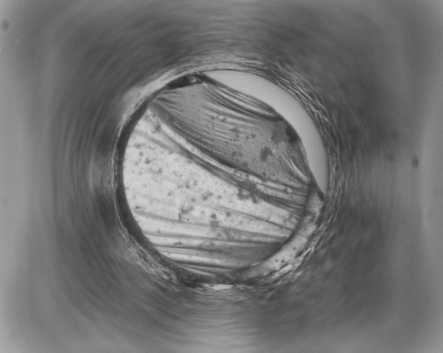 X0000085750244200704131719