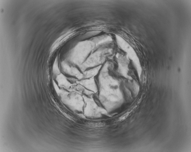 X0000085750245200704131719