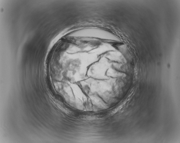 X0000085750246200704131719