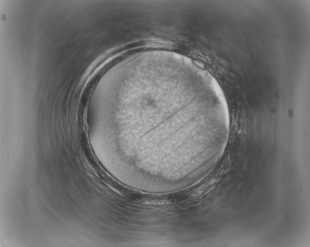 X0000085750247200704131719