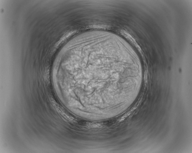 X0000085750249200704131719