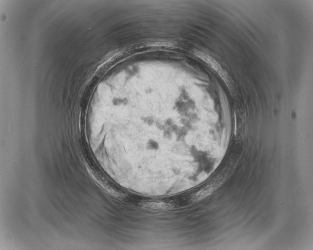 X0000085750253200704131719