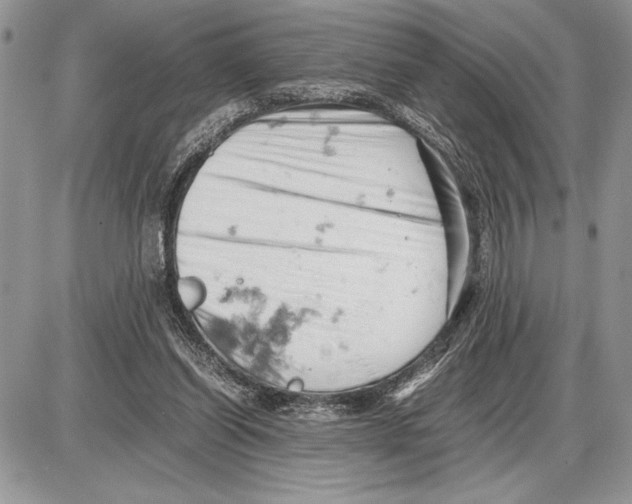 X0000085750254200704131719