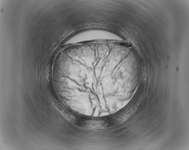 X0000085750255200704131719