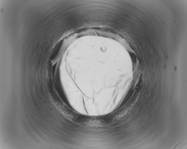 X0000085750256200704131719