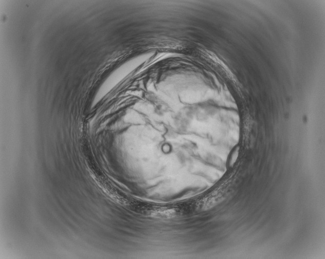 X0000085750257200704131719