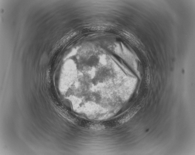 X0000085750258200704131719