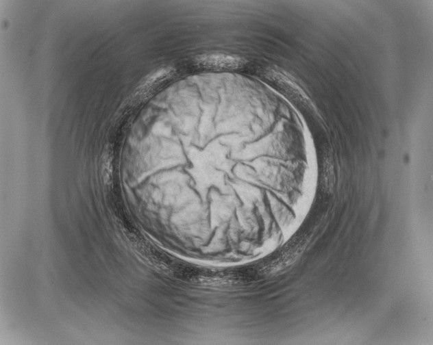 X0000085750259200704131719