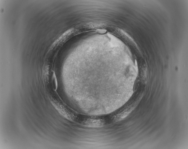 X0000085750260200704131719