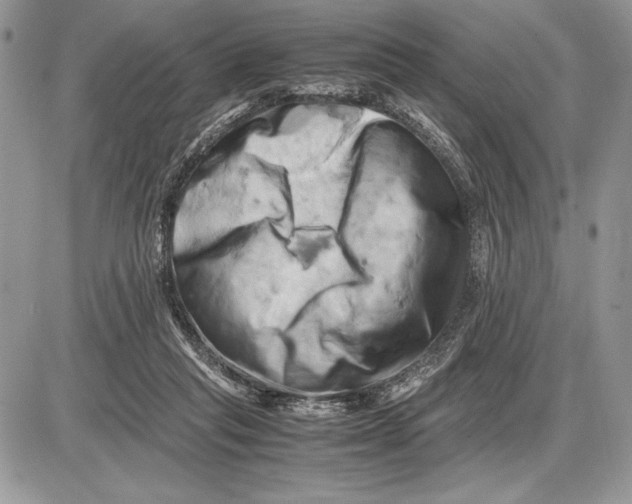 X0000085750261200704131719