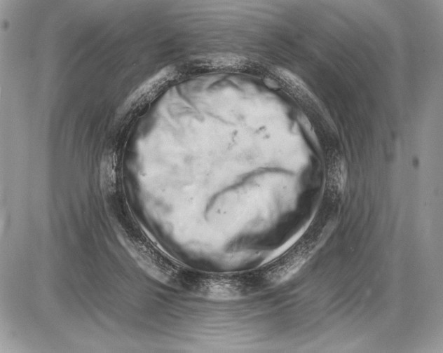 X0000085750264200704131719