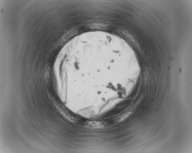 X0000085750265200704131719