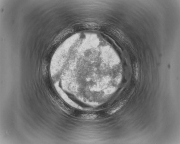 X0000085750266200704131719