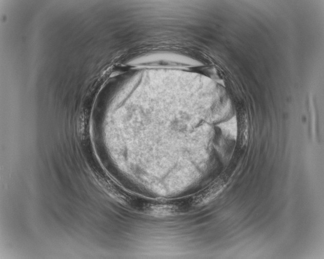 X0000085750268200704131719