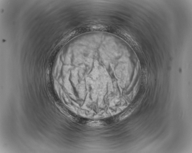 X0000085750269200704131719