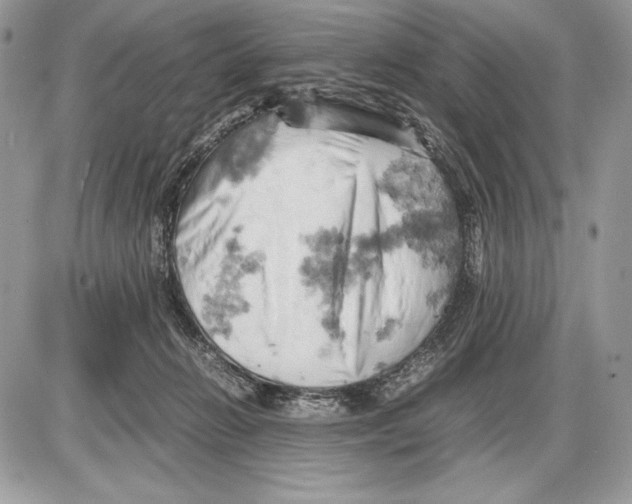 X0000085750270200704131719