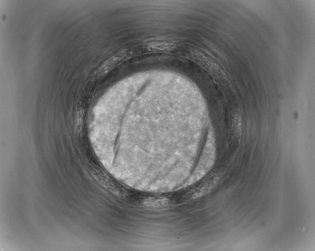 X0000085750271200704131719