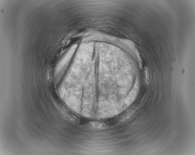 X0000085750272200704131719