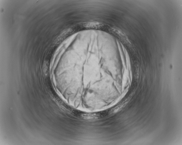 X0000085750273200704131719