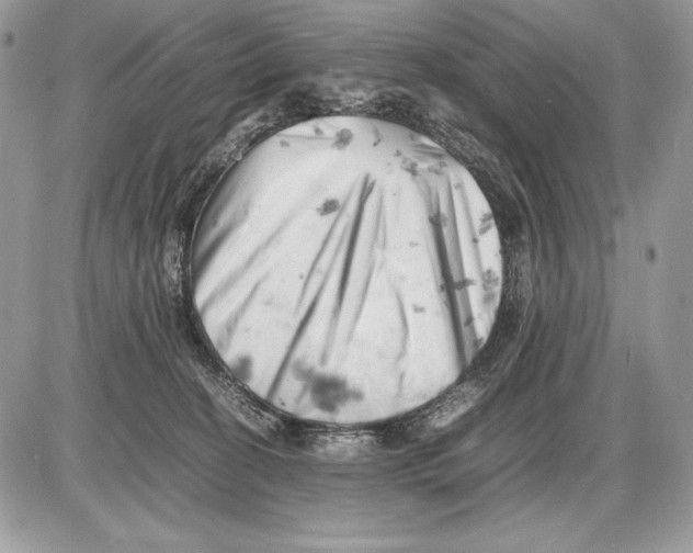 X0000085750274200704131719