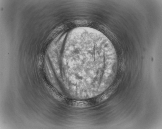 X0000085750277200704131719