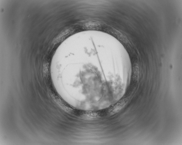 X0000085750278200704131719