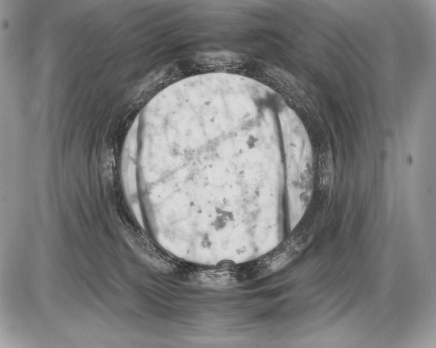 X0000085750279200704131719