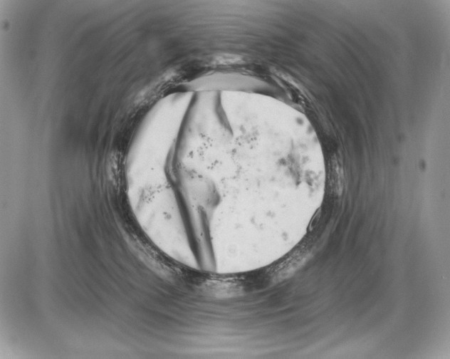 X0000085750280200704131719