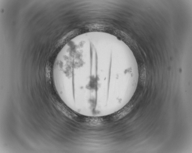 X0000085750282200704131719